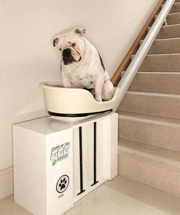 hond op een traplift