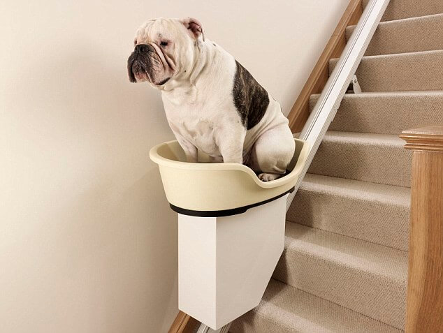 traplift honden